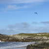 Отель Cottage 433 - Ballyconneely, фото 15