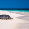 Отель Wilson Island, фото 13