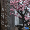 Отель No. 5 Courtyard of Dali Shanshui(Daili Ancient city）, фото 17