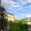 Отель Logis Saint-Flaceau, фото 8