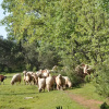 Отель Finca La Ramallosa, фото 24