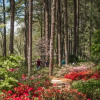 Отель Haven of Rest 3BR near Duke, RDU, RTP w EV Charger by RedAwning, фото 43