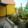 Отель Sárgarigó Vendégház, фото 11