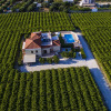 Отель Cretan Vineyard Hill Villa Private Pool, Panoramic View, Beautiful Vineyard, фото 21