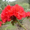 Отель Casa in campagna, фото 7