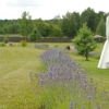 Отель Lavender Village, фото 18