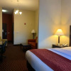 Отель Comfort Inn & Suites, фото 5
