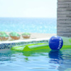 Отель The Palms Resort & Bar, фото 6