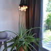 Отель Pleasant Detached Holiday Home on Beautiful Beech Lane Near Centre of Schoorl, фото 23