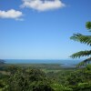 Отель Daintree Village Hideaway, фото 21