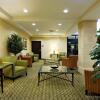 Отель Holiday Inn Express Hotel & Suites Medford-Central Point, an IHG Hotel, фото 4