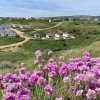 Отель Grange Farm Brighstone Bay, фото 3