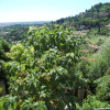 Отель A Casa Mia - Bed & Breakfast, фото 17