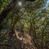 Отель Punta Ala, фото 9
