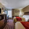 Отель Comfort Inn, фото 10