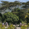 Отель Neptune Mara Rianta Luxury Camp - All Inclusive, фото 23