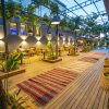 Отель Cook’s Club Alanya - Adults Only, фото 8