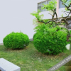 Отель Donghai Hotel (Yantai Military Catering Station), фото 13