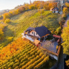 Отель Vineyard Cottage Bregac, фото 10