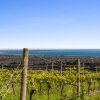 Отель Blue Range Estate Wines, фото 4