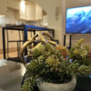 Отель The Wimbledon Haven - 2 bed, фото 15