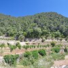 Отель Agroturismo Sa Campaneta, фото 8