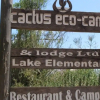 Отель Cactus Eco Camp and Lodge, фото 1