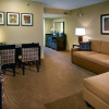 Отель Embassy Suites by Hilton Chicago Downtown River North, фото 26