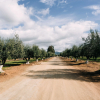 Отель Villas en Los Retoños, фото 5
