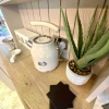 Отель Stunning 2-bed Holiday Lodge Nr Padstow, фото 17