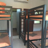 Отель Sea Breeze Backpacker Hostel - Adults Only, фото 6