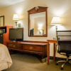 Отель Quality Inn Crystal River, фото 6