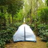 Отель KaapiNadu HomeStays, фото 9