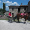 Отель Podere Leporino, фото 1