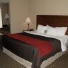 Отель Comfort Inn & Suites, фото 4