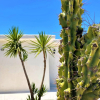 Отель Rustic Hill Private Pool Suites, фото 1