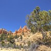 Отель Bryce Canyon Area House w/ Mountain Views!, фото 18