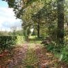 Отель Lavish Farmhouse in Sint Odilienberg With Terrace, фото 12