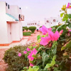 Отель Amigo Hotel Dahab, фото 7