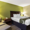 Отель Quality Inn & Suites Columbia Area, фото 8