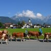 Отель Haus Barbara, фото 14