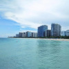 Отель Beach Haus Bal Harbour, фото 18