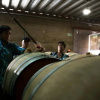 Отель Pizzorno Lodge & Wine, фото 18
