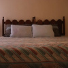 Отель Oyster Shell Beach Suite - Turtle Towers, фото 4