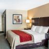 Отель Holiday Inn Express Columbus Downtown, an IHG Hotel, фото 4