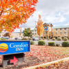 Отель Comfort Inn South, фото 23