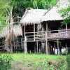 Отель Tariri Amazon Lodge, фото 13