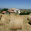 Отель Azienda Agricola Parmoleto, фото 9