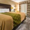 Отель Econo Lodge Inn & Suites Macon, фото 29