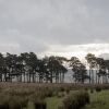 Отель Tebay Services Hotel, фото 15